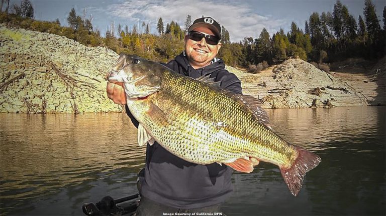 Record California Spotted Bass Caught