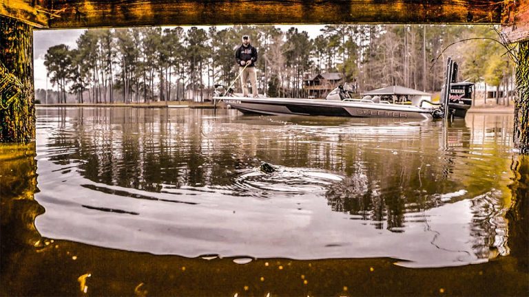 How to Catch Big Bass in Low-Water Conditions