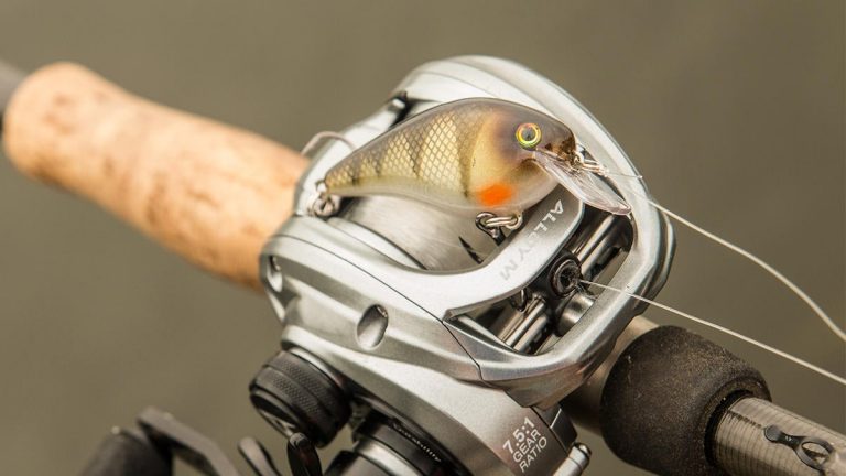 Piscifun Alloy M Casting Reel Review