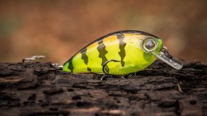 Yo-Zuri 3DB Series 1.5 Squarebill Crankbait Review