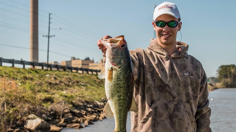 3 Bass Fishing Truths You Need to Know