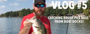 VLOG | Catching Brush Pile Bass from Docks