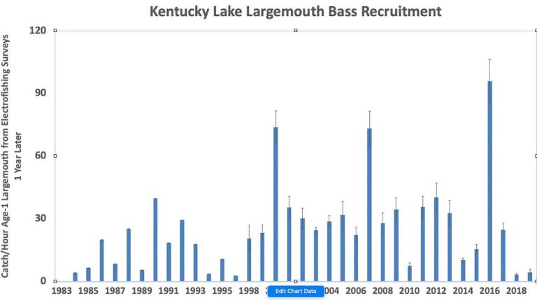 Largemouth Bass Populations: What Affects Bass Fishing on Large Reservoirs