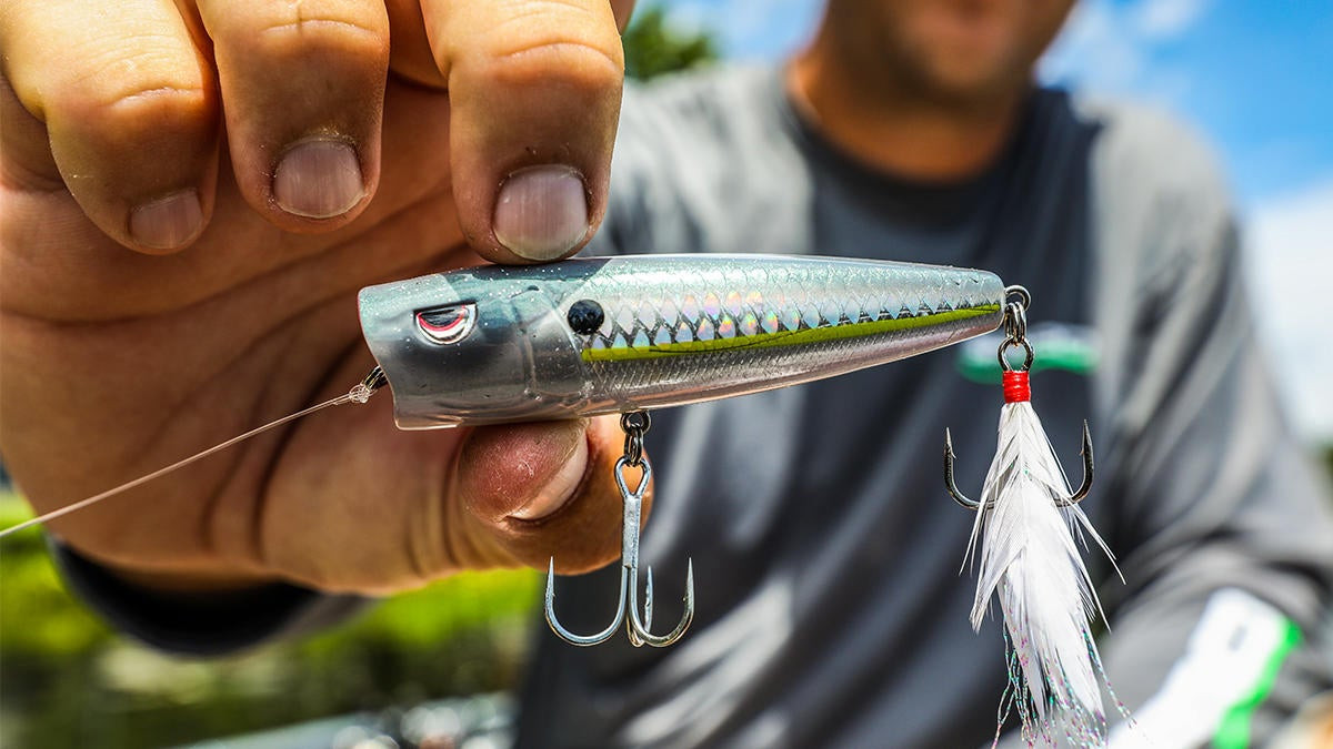 Why You Should Use a Topwater Popper for Fall Bass Fishing