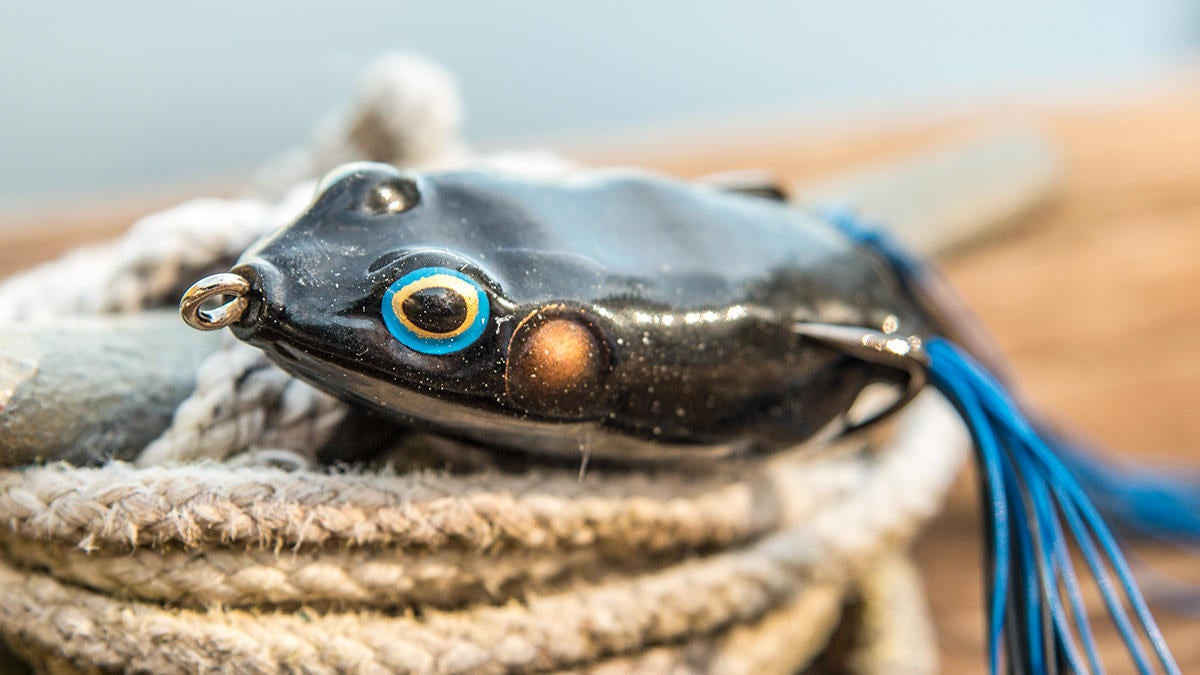 5 Inexpensive Lures that Catch Spring Bass Anywhere - Wired2Fish