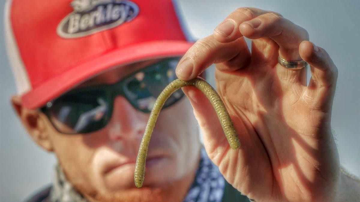 A Look at Berkley PowerBait MaxScent - Wired2Fish