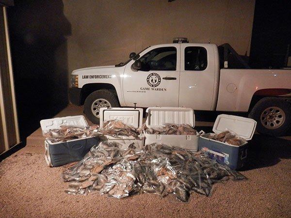 New Mexico Angler Arrested for Keeping 1,600 Trout - Wired2Fish