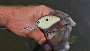 SPRO Little John Micro DD 45 Crankbait Review