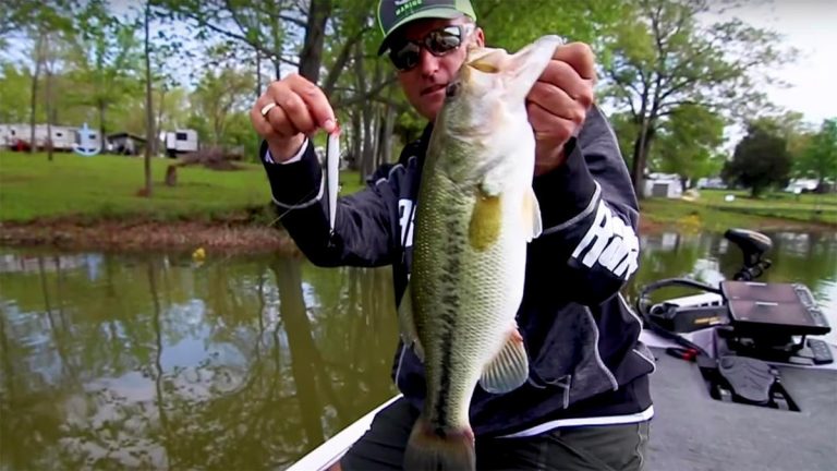 Catching Shallow Bass around the Spawn on the Floating Minnow