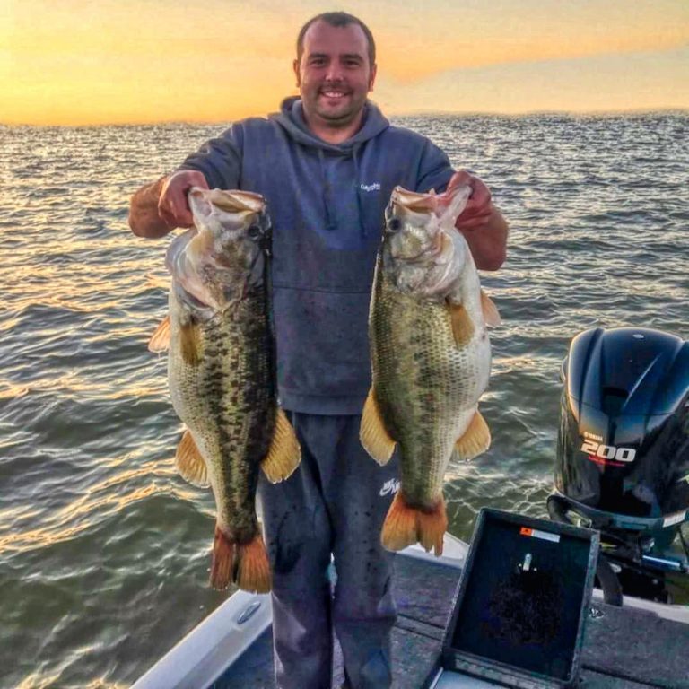 Huge Limit of Bass Caught on Kentucky Lake