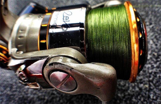 Why Braid Will Make You a Better Finesse Angler - Wired2Fish