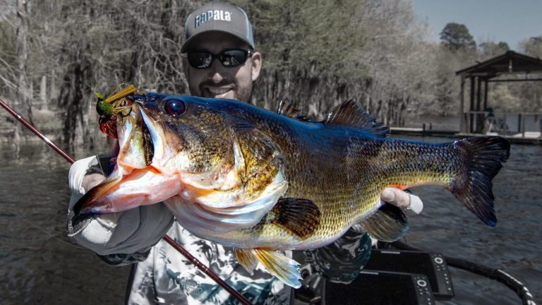 Why a Jig is the Most Versatile Bass Lure