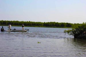 Catch Wing Dam Bass with Crankbaits