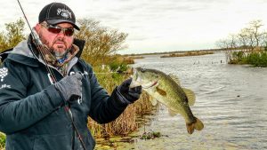 Why to Tie on a Bladed Jig Every Time You Fish