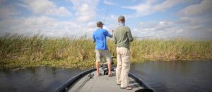 Punching Heavy Matted Vegetation for Big Bass