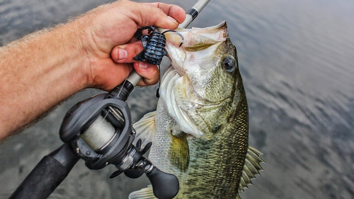 3 Baitcaster Combos Every Co-Angler Should Have - Wired2Fish