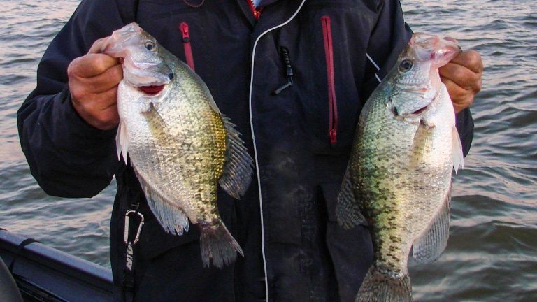 Do You Know Your Crappie?