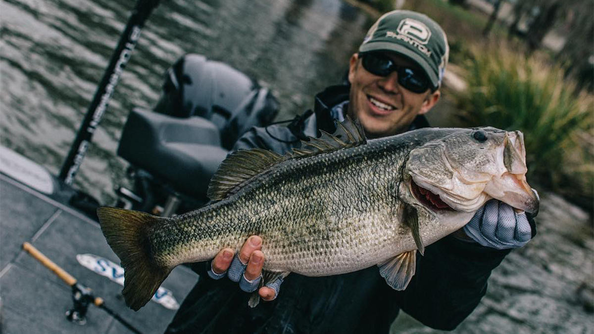 The 4 Biggest Misconceptions of Frog Fishing - Wired2Fish