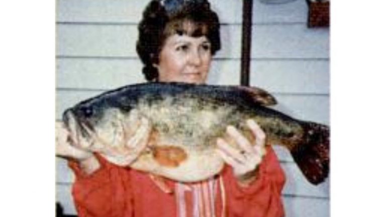 34 of the Biggest State Record Largemouth Bass