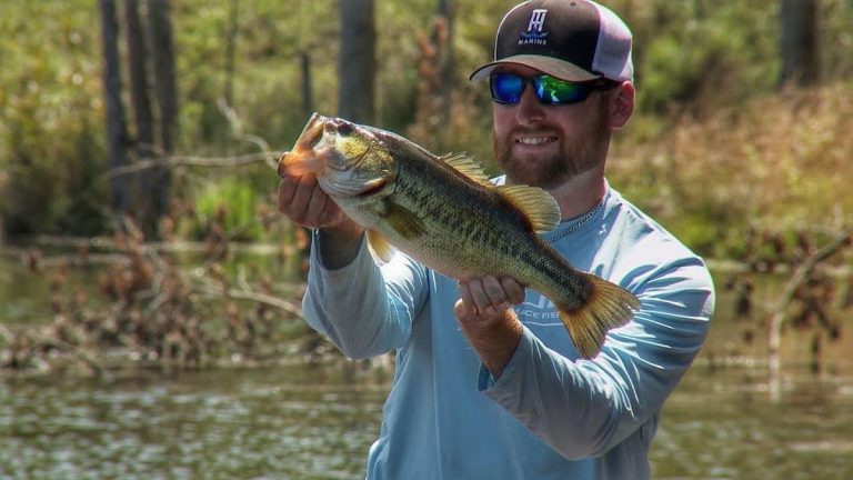 How to Fish for Bass Around Wood With Jigs