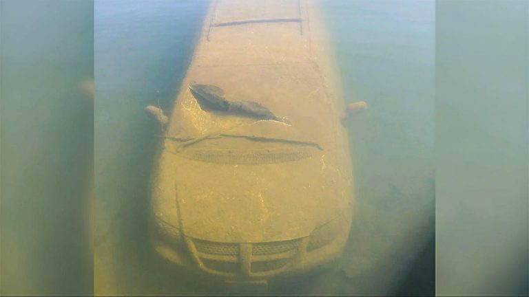 Fisherman Discovers Submerged Van with Body Inside