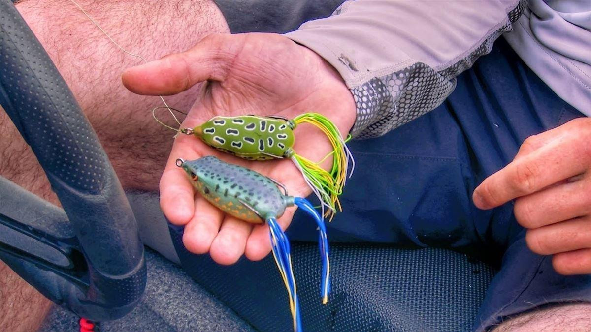 Best Frog Lures for 2024 - Wired2Fish