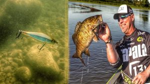 Tips for Finding and Catching River Bass on Jerkbaits