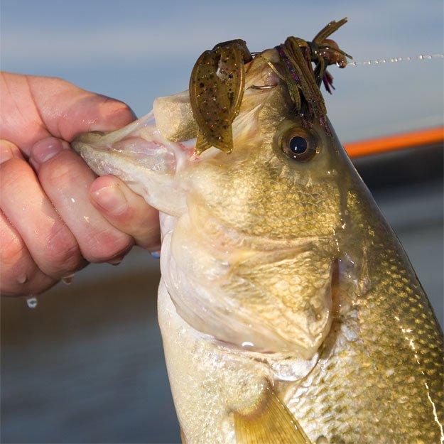 Skirted Jig Trailers Selection for Bass Fishing - Wired2Fish