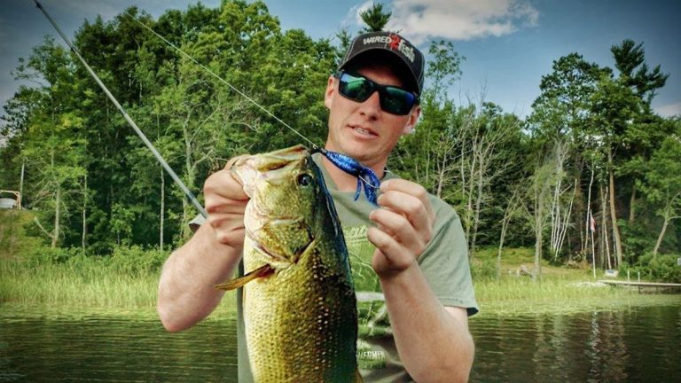 Texas Rig Basics for Grass Line Bass