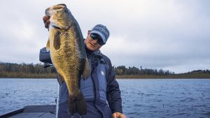 Spinnerbait Tips for Prespawn Bass in Bulrushes