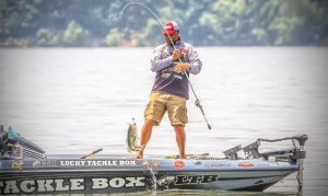 How to Catch Bass Suspending off the Ledge