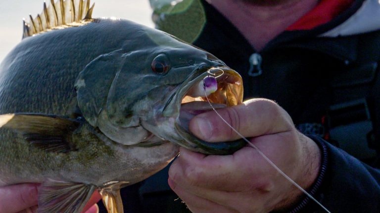 4 Tips for Snap Jigging Cold Water Bass