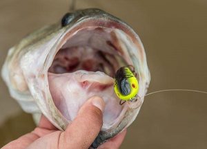 Mann’s Baby 1- Crankbait Review