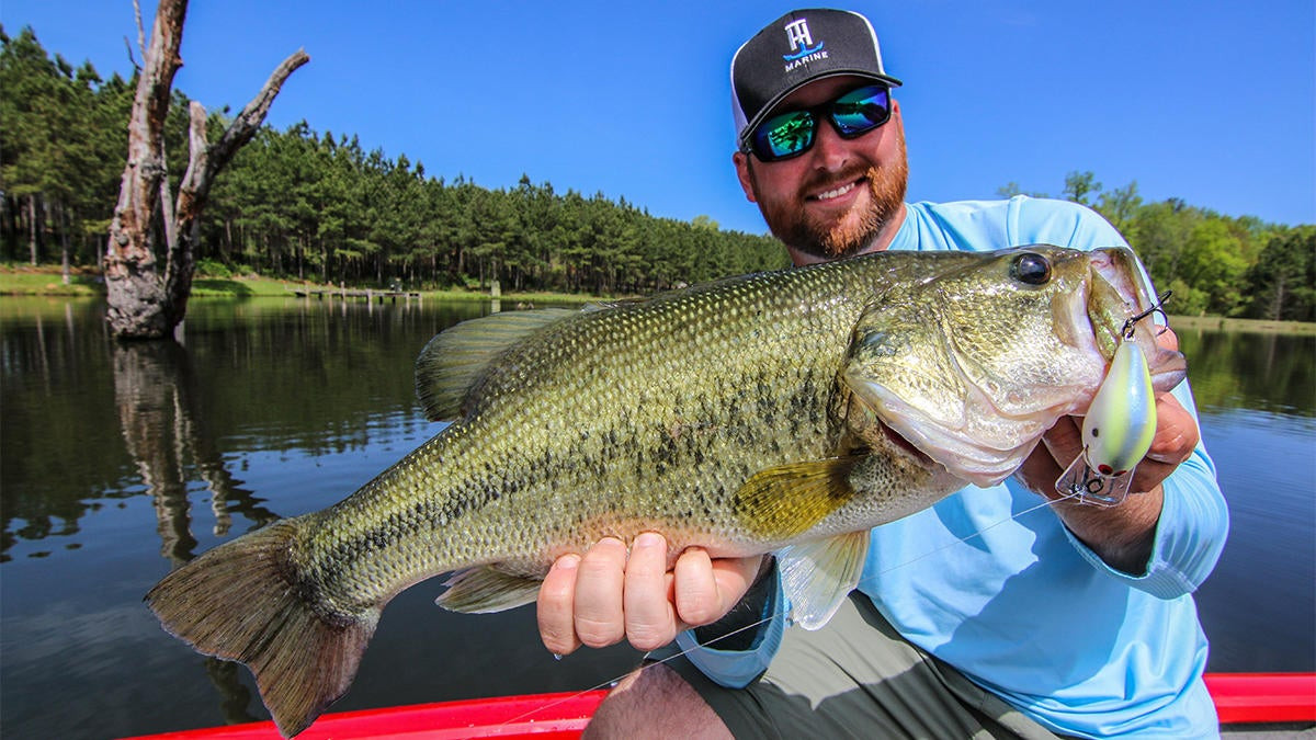 Stay Shallow for Summer Bass - Wired2Fish