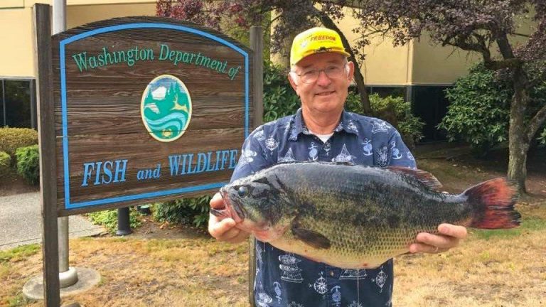 Washington Largemouth Bass Record Broken