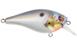 Berkley Pitbull 5.5 Crankbait Review