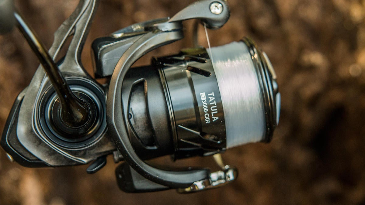 The 17 Best Reels - Spincast reviews in 2019