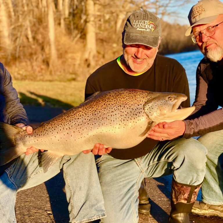 Angler Catches Missouri State Record Brown Trout