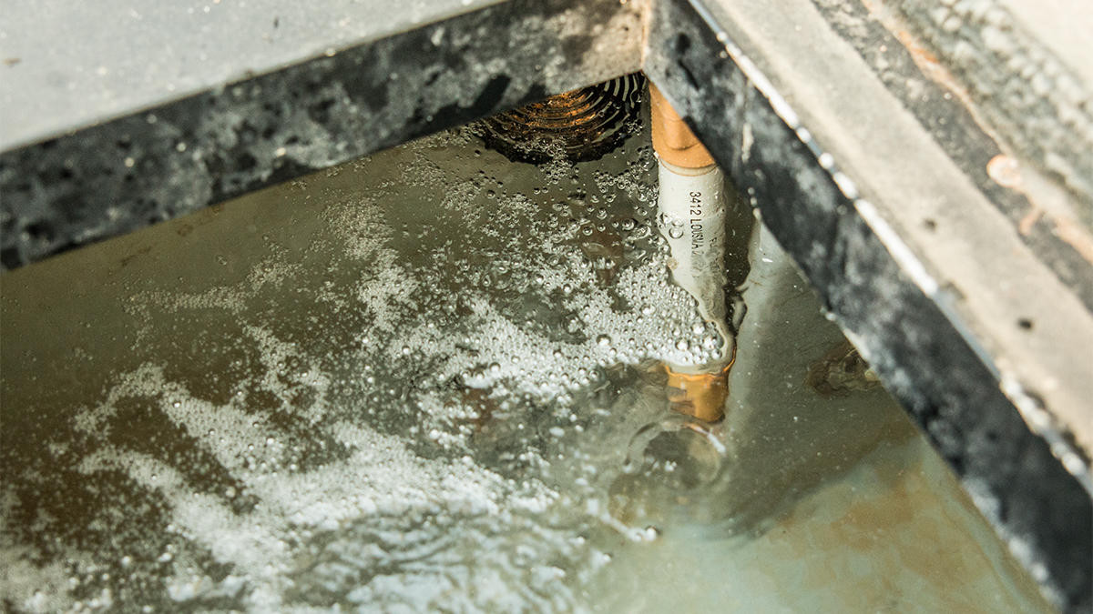How to Quickly and Safely Clean Your Livewells - Wired2Fish