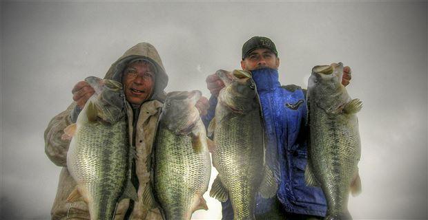 Land Your Biggest Bass with Big Swimbaits - Wired2Fish