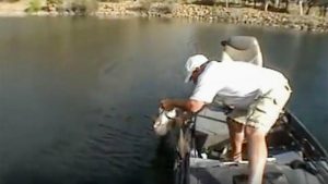 65-pound Limit of Bass Released on Video