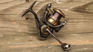 Daiwa Legalis LT Spinning Reel Review