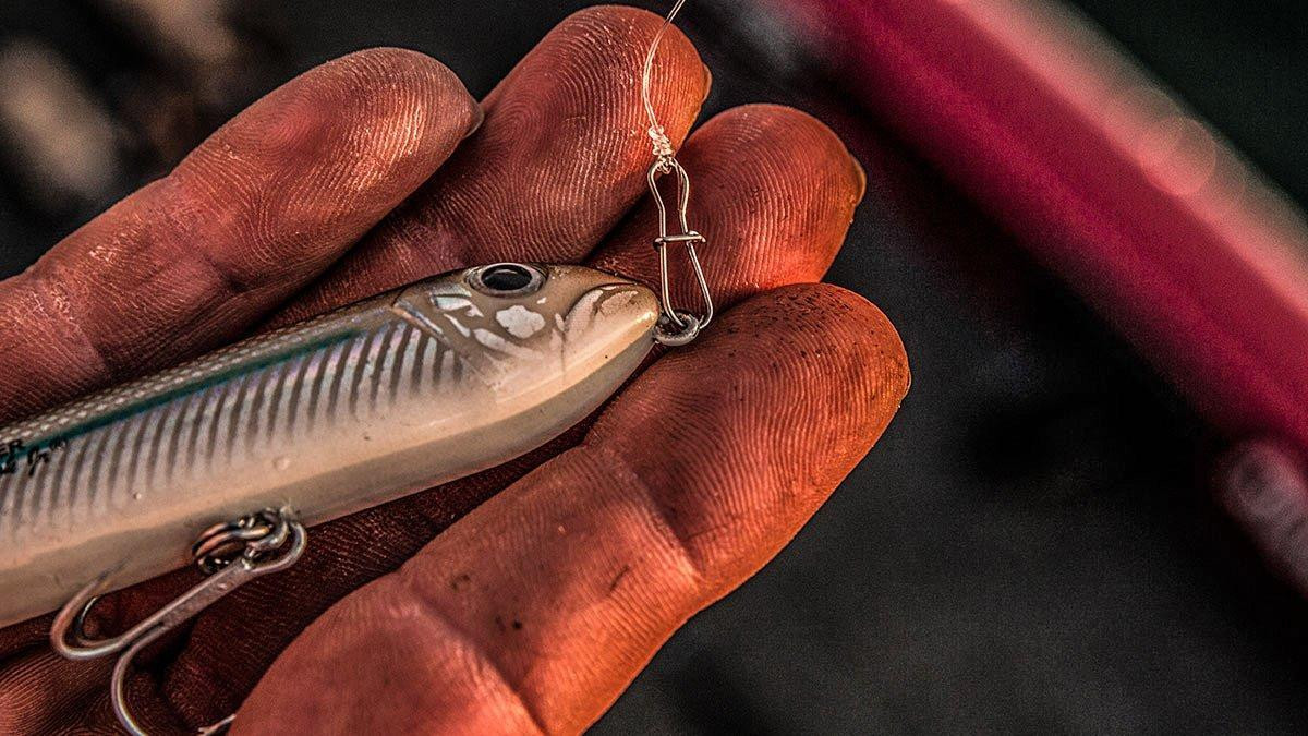 4 Topwater Lures for Fall Bass Fishing - Wired2Fish