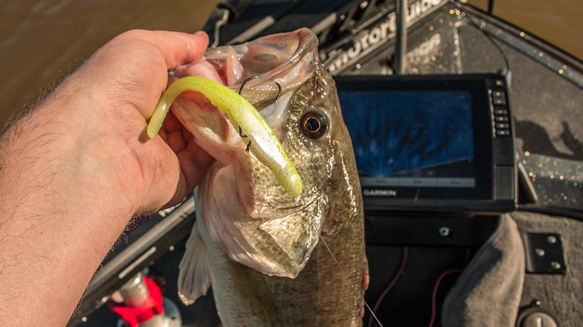 X Zone Whiplash Shad Review - Wired2Fish