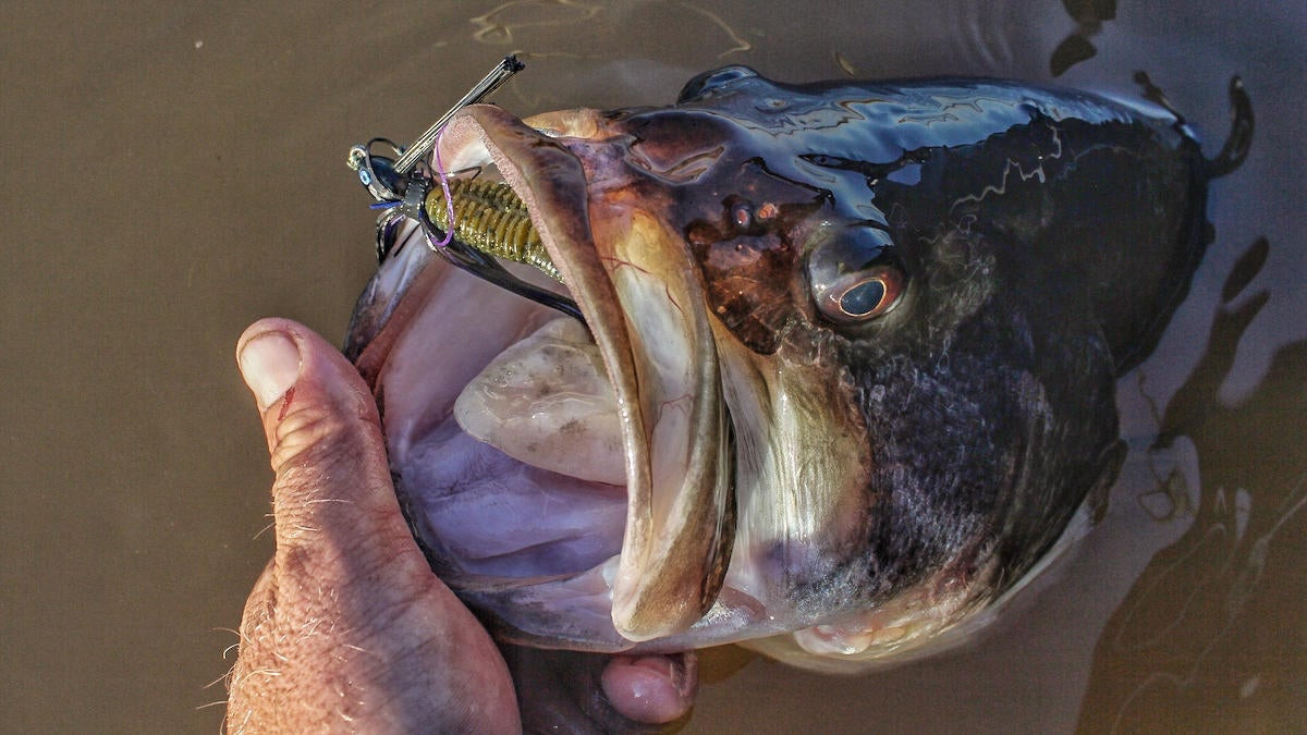 Best Swim Jig and Trailer Bass Fishing Kit - Kraken Bass