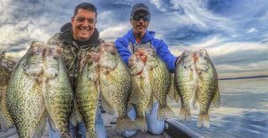 Why I Only Use One Crappie Fishing Plastic