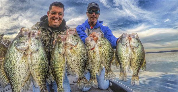 Why I Only Use One Crappie Fishing Plastic - Wired2Fish