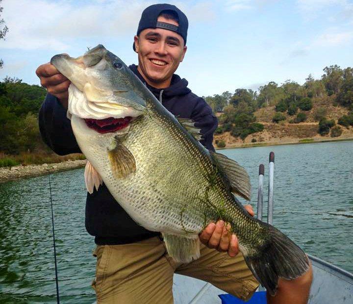 Angler Catches Giant 16-Pound Bass