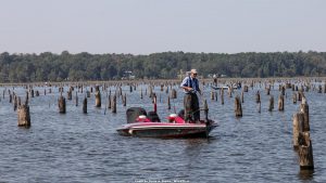 Bass Fishing Strategies for Stump Fields