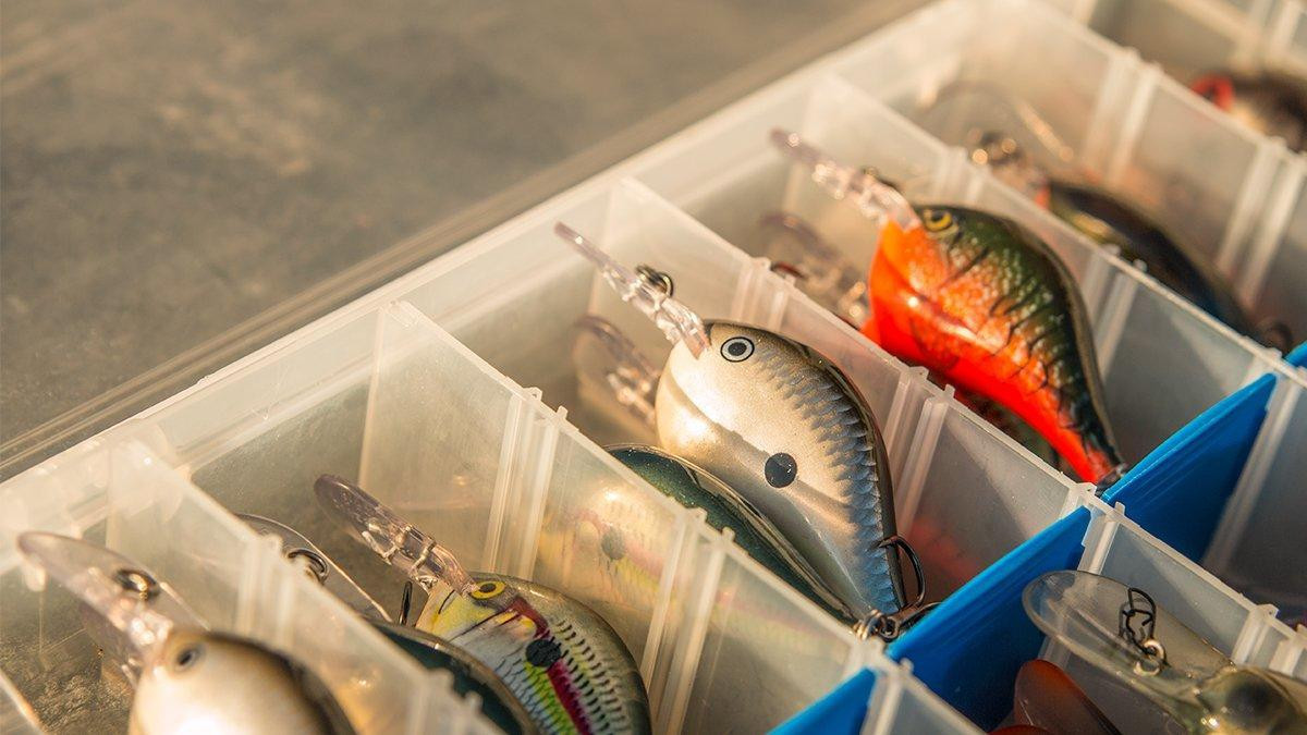 Rapala DT 6 Crankbait Review - Wired2Fish